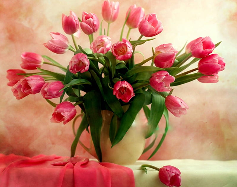 Beautiful Pinks (For Kent One), still life, pink tulips, pink fabric, flowers, vase, tulips, tablecloth, HD wallpaper