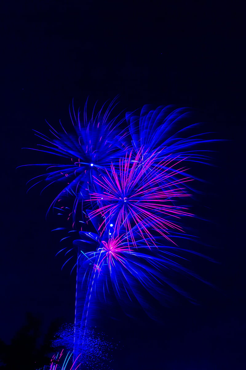 fireworks, salute, sparks, sky, dark, HD phone wallpaper