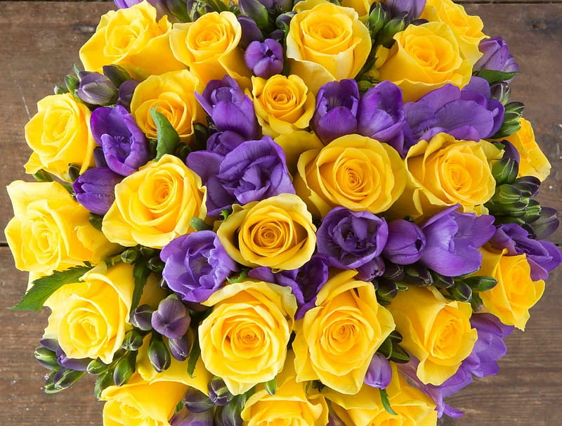 Roses and sias, sia, purple, rose, bouquet, flower, yellow, HD wallpaper