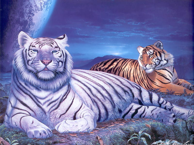 Lords of the millennium, lord, fantasy, tiger, millennium, HD wallpaper