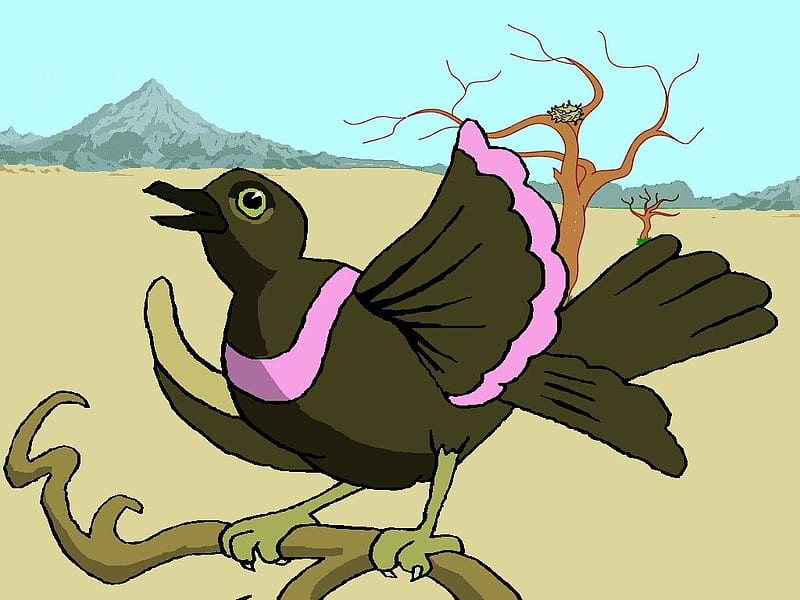 Rare Bird On Limb, pink, brown, blue, scenic, sand, bird, HD wallpaper
