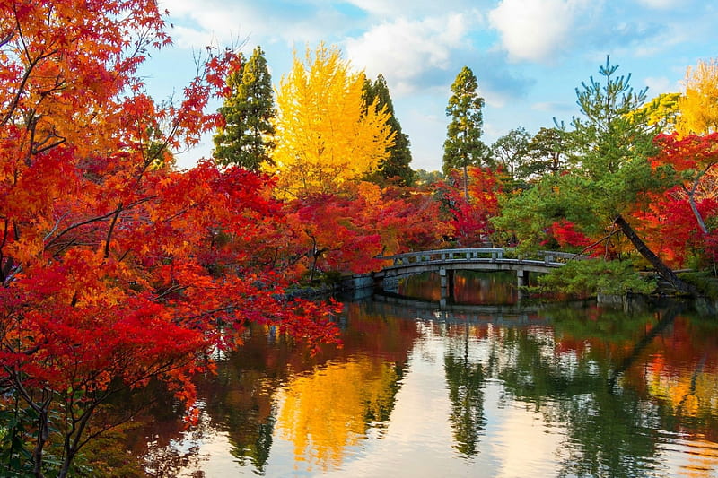 Autumn Park, Fall, park, trees, clouds, pond, water, bridge, reflection ...