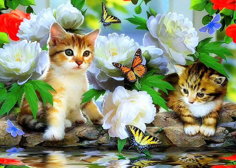 Among the Peonies, gardening, attractions in dreams, adorable, seasons, peonies, paintings, flowers, lovely flowers, kitties, butterfly designs, animals, lovely, love four seasons, creative pre-made, butterflies, spring, cute, weird things people wear, cats, reflections, HD wallpaper
