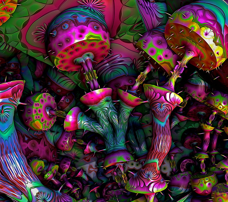 Trippy Mushrooms, colour, mushroom, trip, HD wallpaper