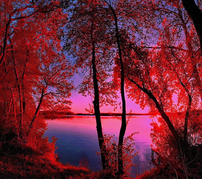 Beautiful Sunset, lake trees, HD wallpaper
