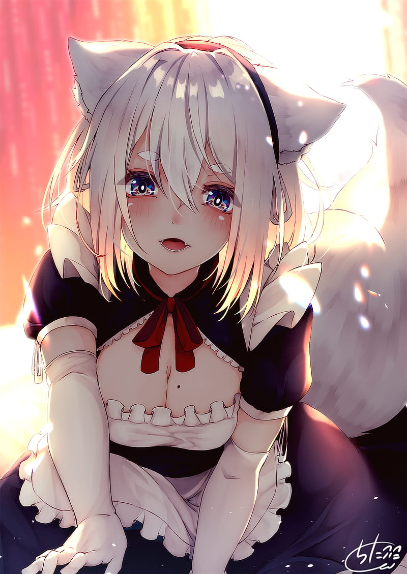 anime girls, original characters, anime, fantasy girl, white hair, bangs, blue eyes, fox girl, foxy ears, backlighting, depth of field, looking at viewer, blushing, smiling, fangs, portrait display, dress, cleavage, maid, elbow gloves, white gloves, tail, animal ears, artwork, digital art, illustration, 2D, drawing, chita (ketchup), HD phone wallpaper