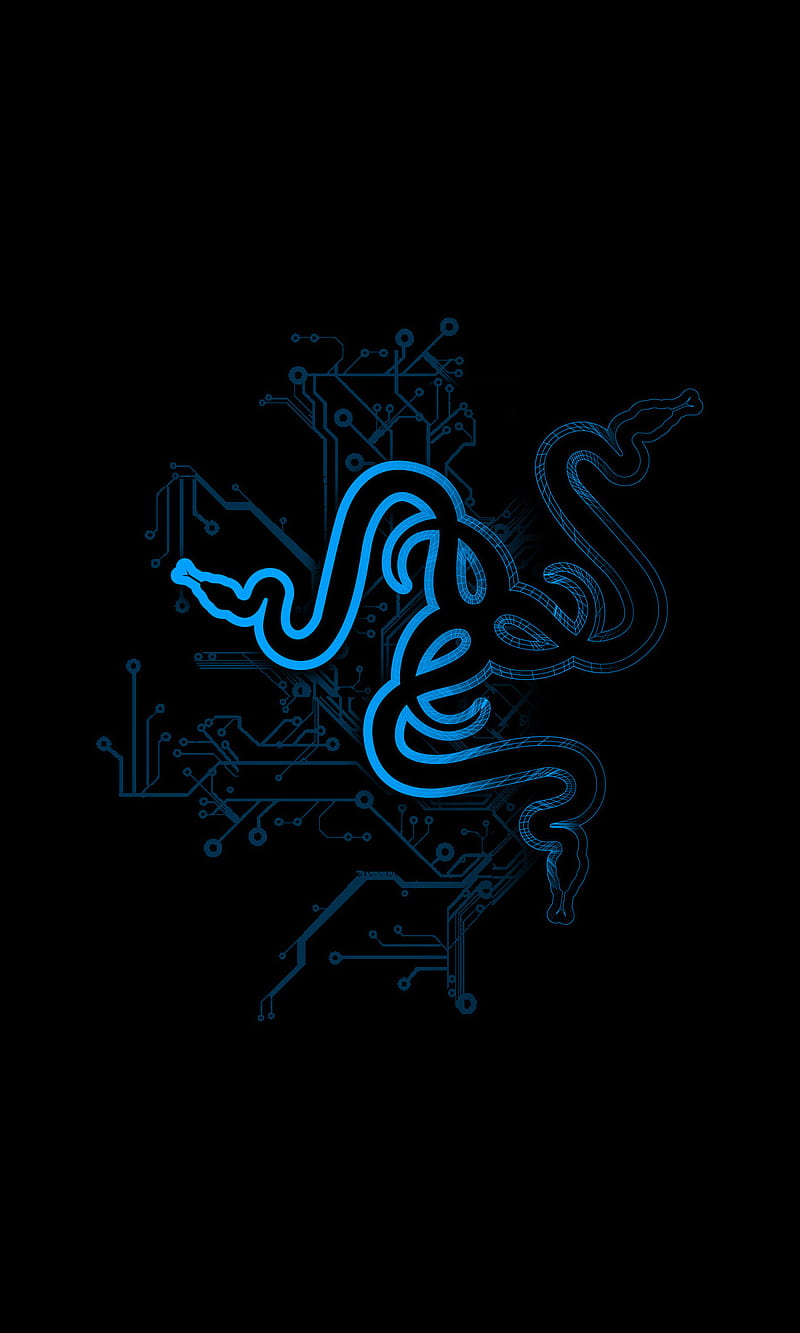 Python, black, blue, cool, new, tech, HD phone wallpaper