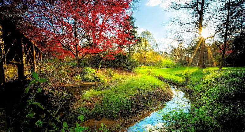 Early Spring Day, red, fence, grass, bonito, park, creek, trees, green, light blue, North Carolina, meadow, HD wallpaper