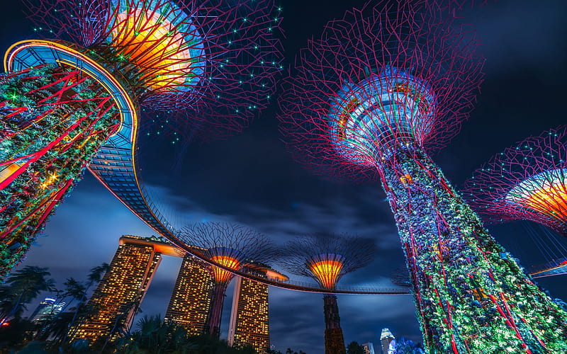 Singapore, Supertree Grove, Marina Bay Sands, evening, sunset, creative trees, Gardens by the Bay, Marina Gardens, HD wallpaper