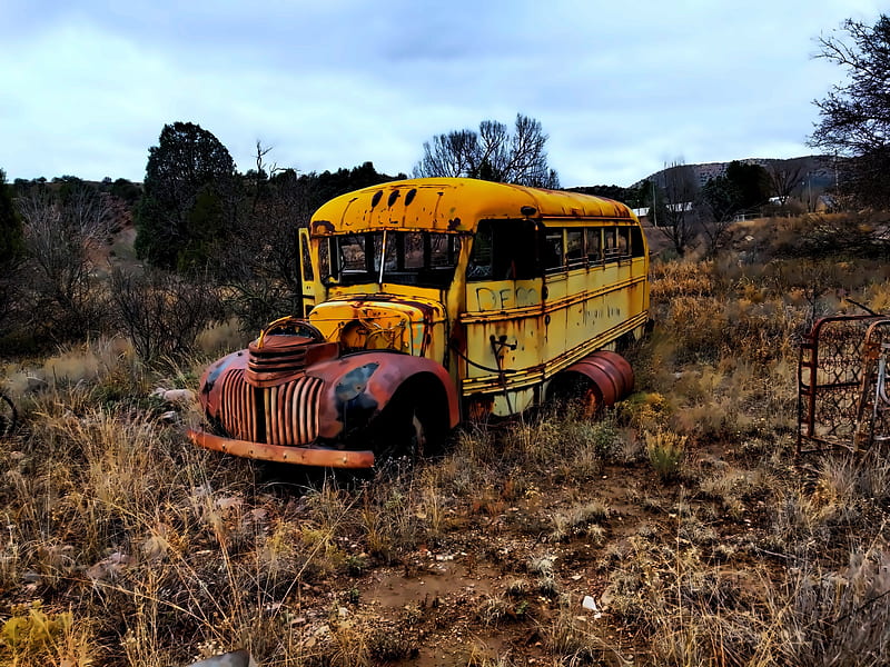 Past, bus, school, HD wallpaper