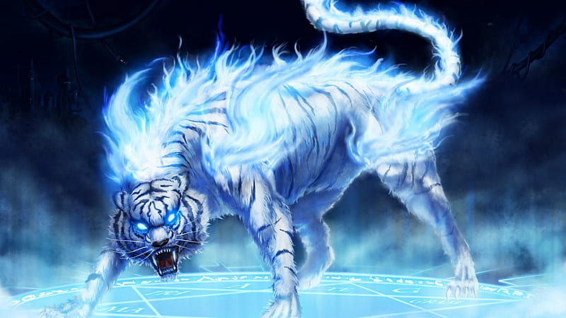 Blue_Tiger, cool, blue-tiger, HD wallpaper | Peakpx