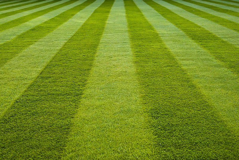 Grass, field, green, stadium, HD wallpaper | Peakpx