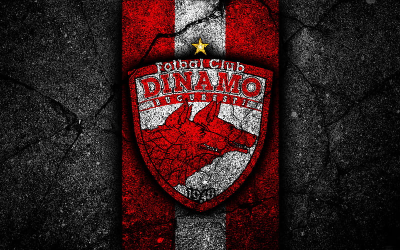 Dinamo Bucharest FC, logo, soccer, Romanian Liga I, football, black stone, football club, Romania, Dinamo Bucharest, emblem, Romanian league, asphalt texture, FC Dinamo Bucharest, HD wallpaper