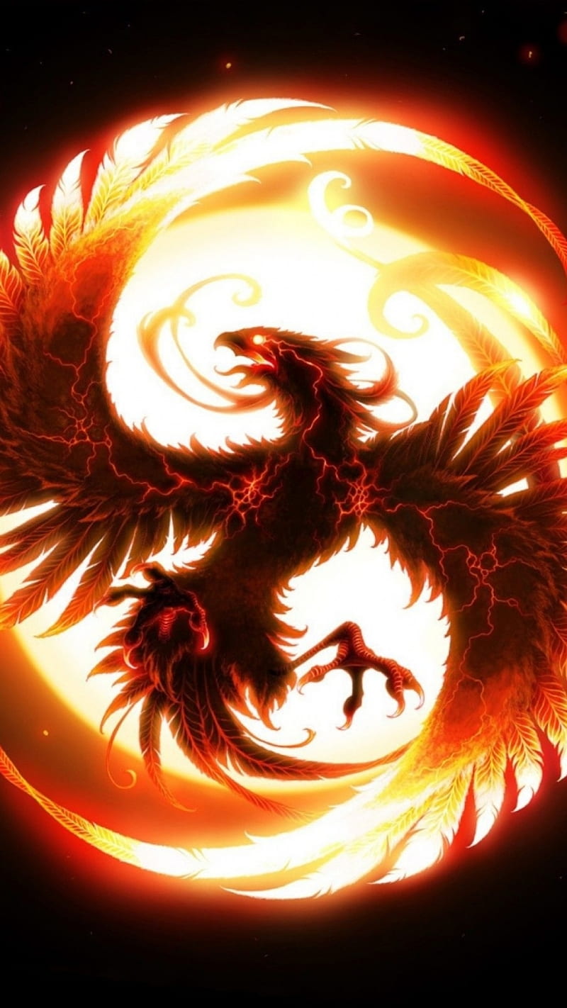 Phoenix, bird, fire, orange, red, HD phone wallpaper | Peakpx