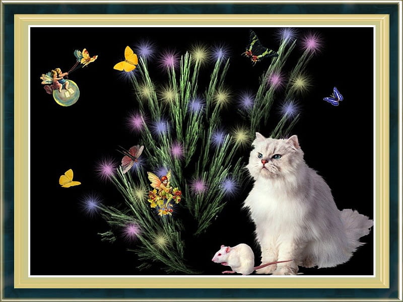 **Cat and Clover**, pretty, frame, edge, digital art, wing, butterfly, fractal, love, fairies, beauty, butterfly designs, fairy, animals, imaginations, lovely, colors, butterflies, cat, cute, cool, clover, mouse, rat, HD wallpaper
