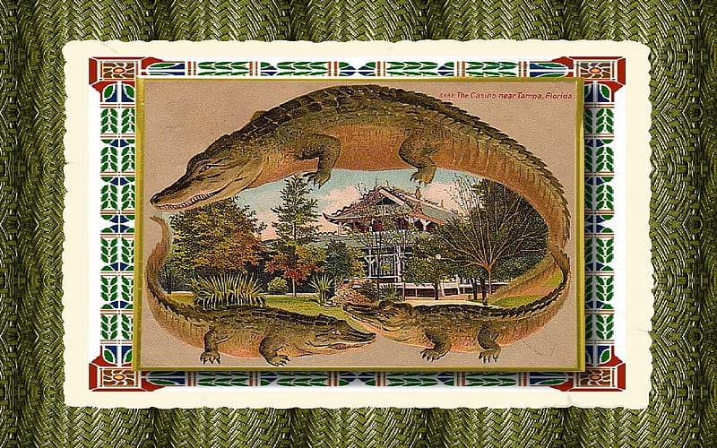 Alligator Border Postcard 3, three, postcard, florida, alligator, HD wallpaper