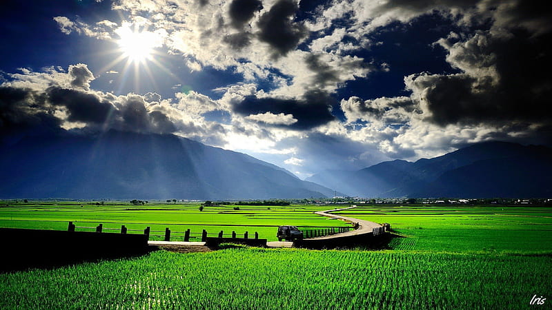 awesome sky over paddy rice fields, mountains, sun rays, fields, road, clouds, HD wallpaper