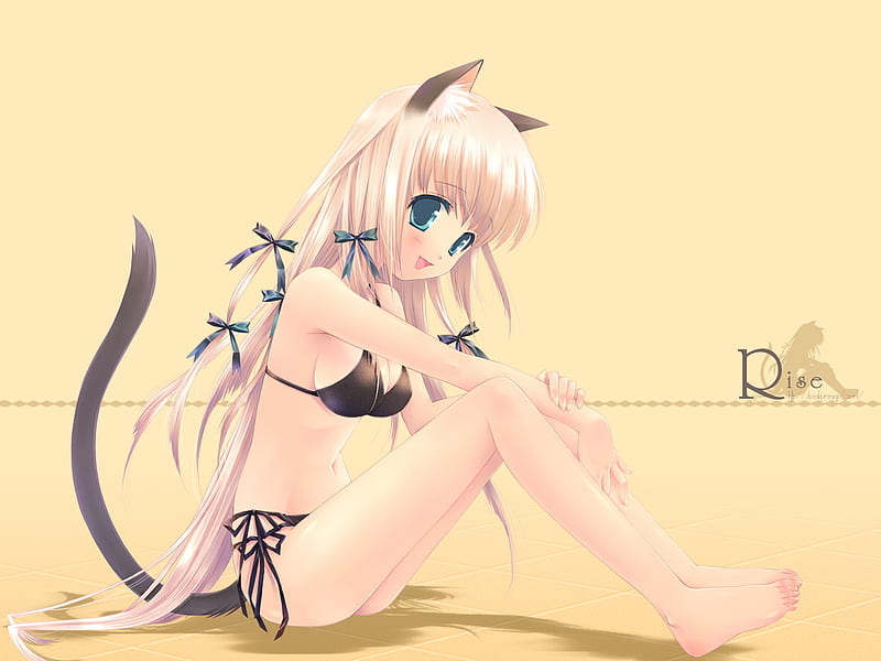 Catgirl in a black bikini, cute, catgirl, hot, anime girl, sexy, bikini, HD wallpaper