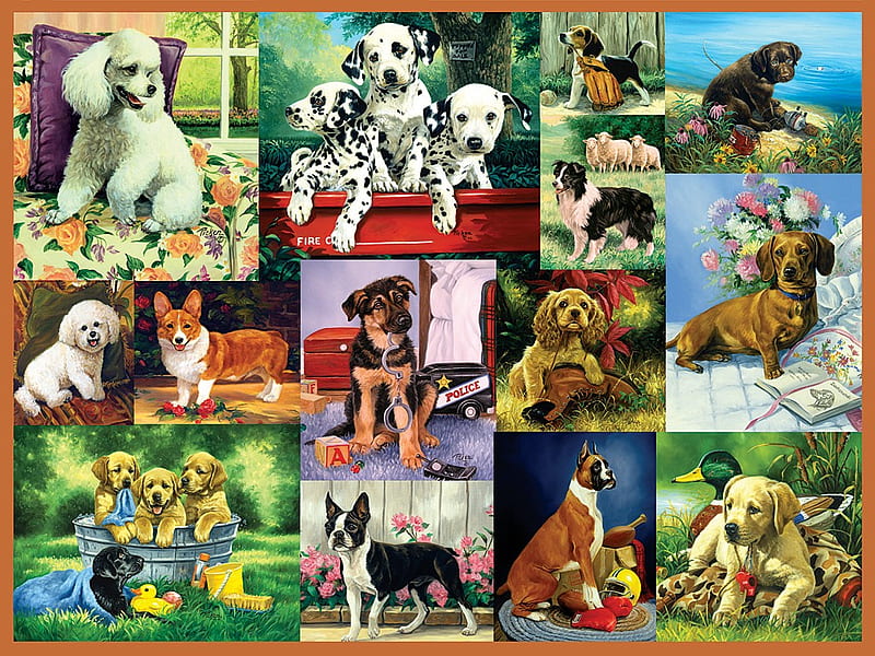 Puppy Collage., collage, animal, puppy, dog, HD wallpaper