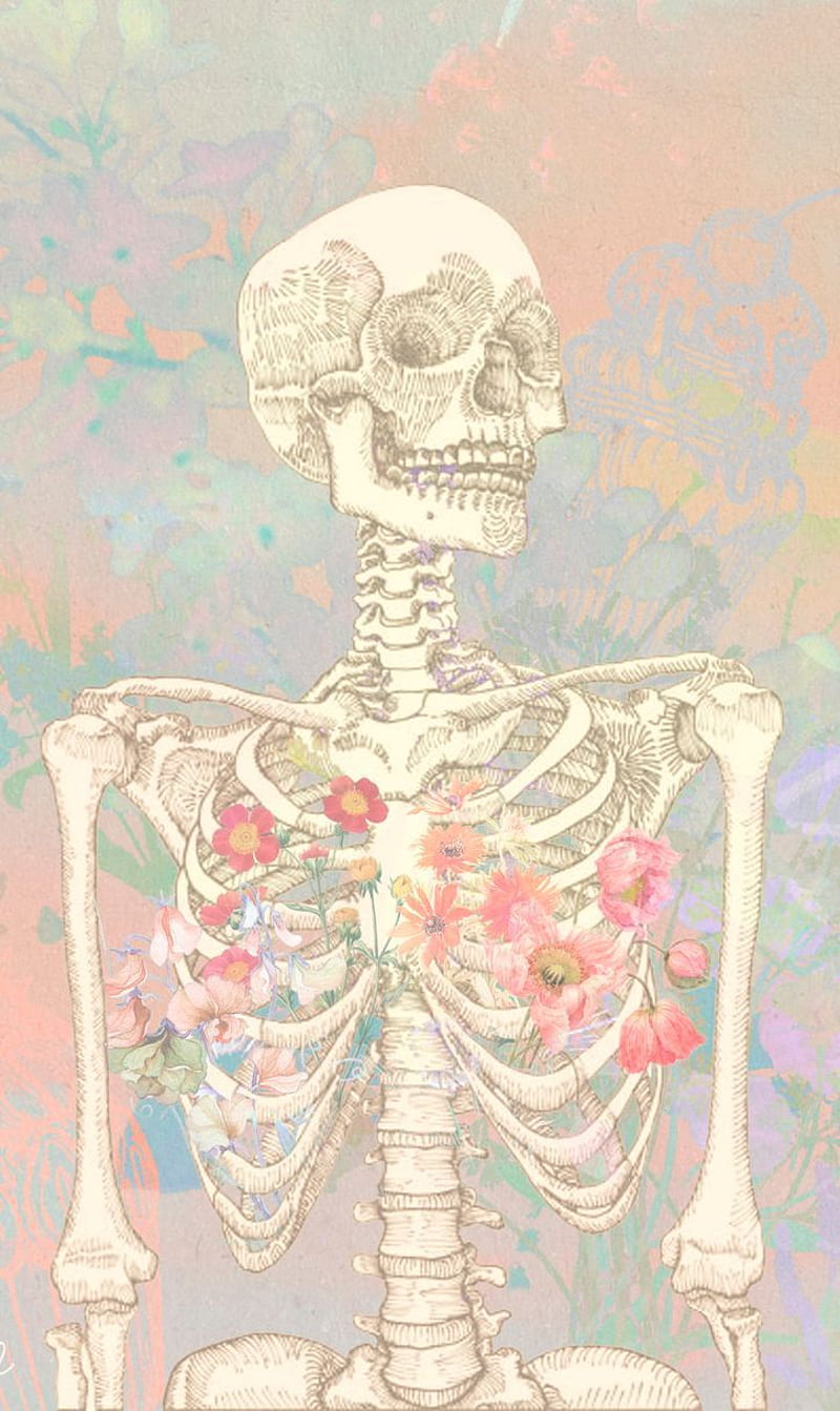 Anatomy Art . Biology art, Art, Anatomy art, Anatomical, HD phone wallpaper  | Peakpx