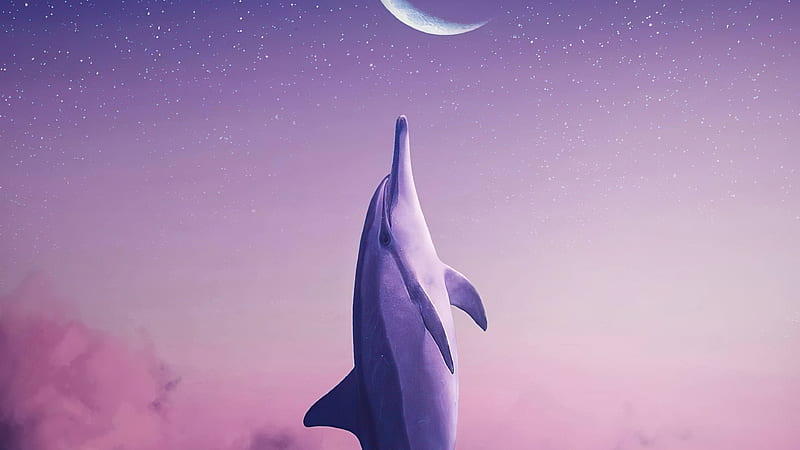 Dolphin Touching Moon , dolphin, manipulation, hop, artist, artwork, digital-art, HD wallpaper
