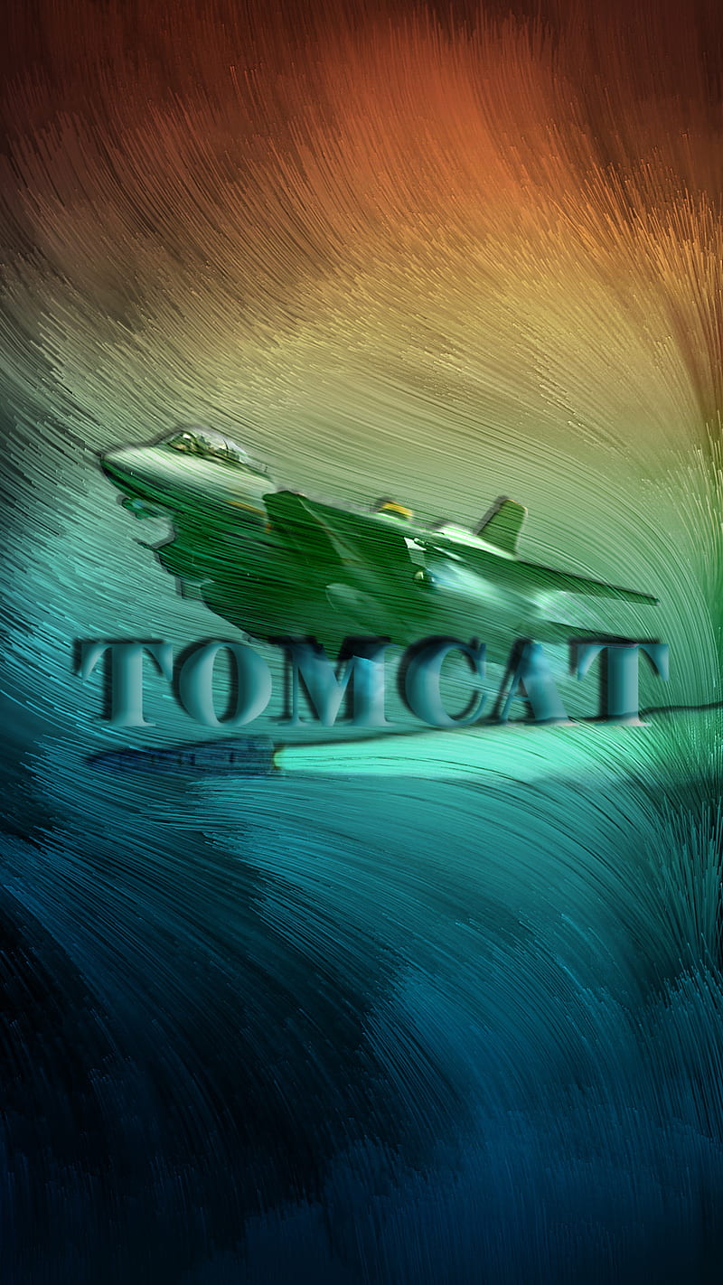 Tomcat F14, aircraft, f-14, jet, navy, HD phone wallpaper