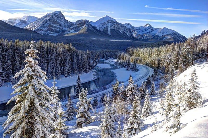 Bow River, Alberta, Canada, forest, snow, mountains, firs, rockies, landscape, HD wallpaper