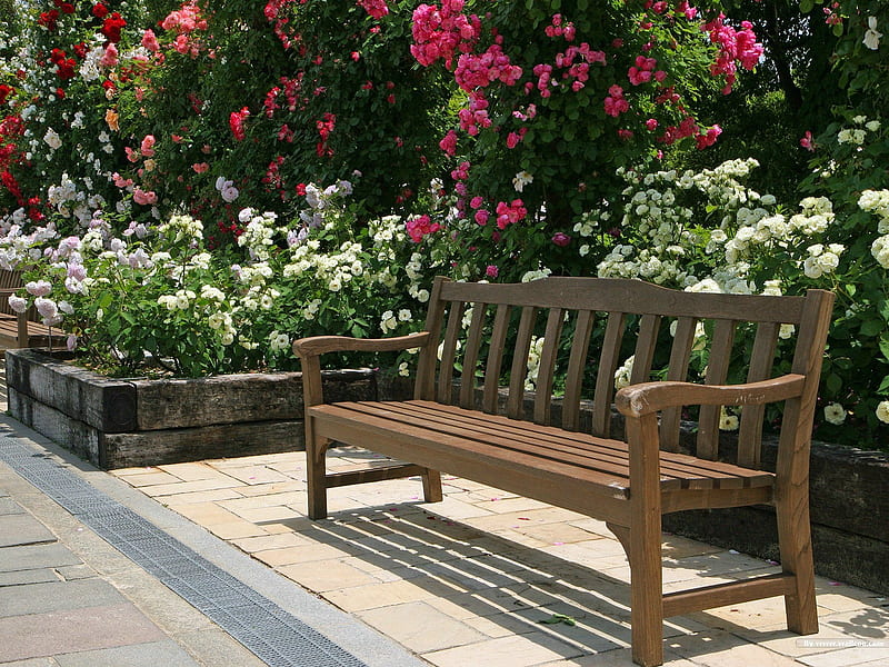 Park benches- Japanese garden art landscape, HD wallpaper