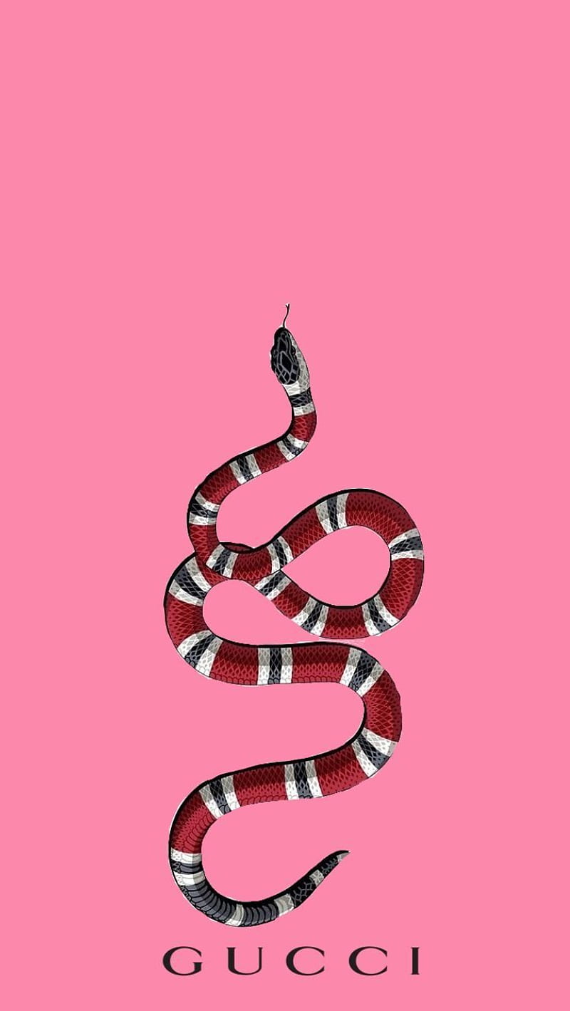Pink Snake, HD phone wallpaper