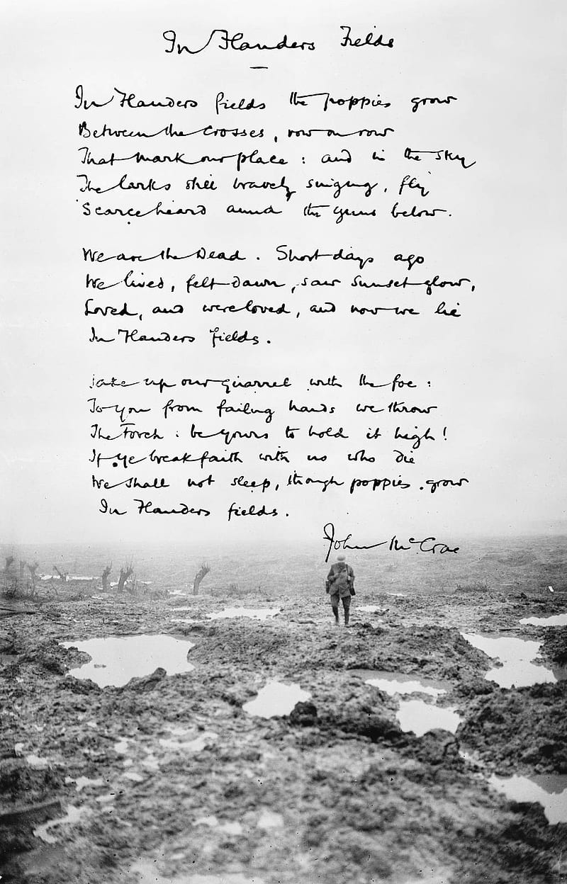 In Flanders Fields, fallen, honor, memorial, military, mourning, poem, remember, remembrance, respect, veterans, guerra, world war one, HD phone wallpaper