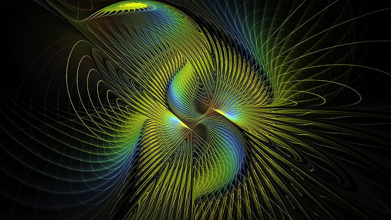 Fractal Patterns Feathers Lines Abstract, HD wallpaper