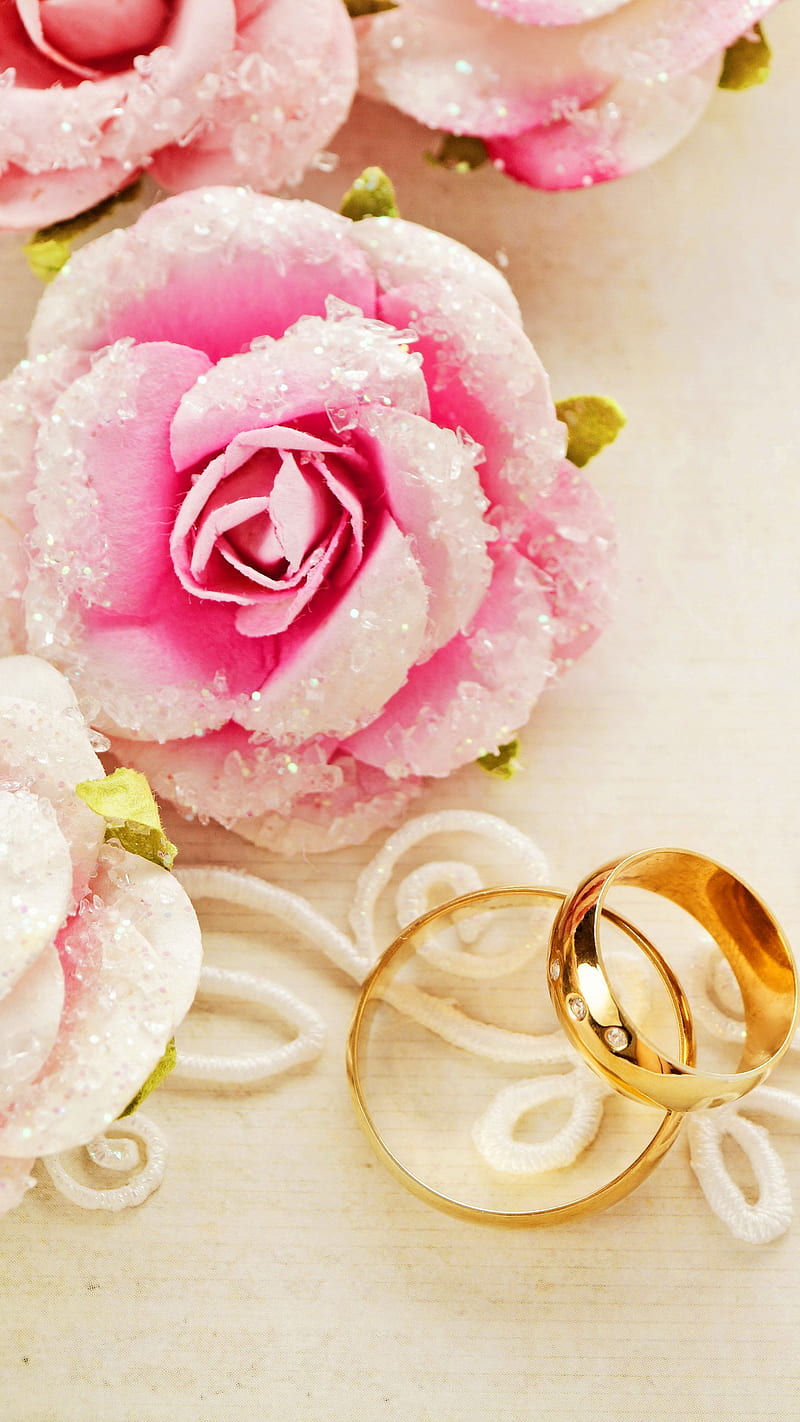 Golden Rings, flowers, love, pink, romance, romantic, roses, HD phone wallpaper