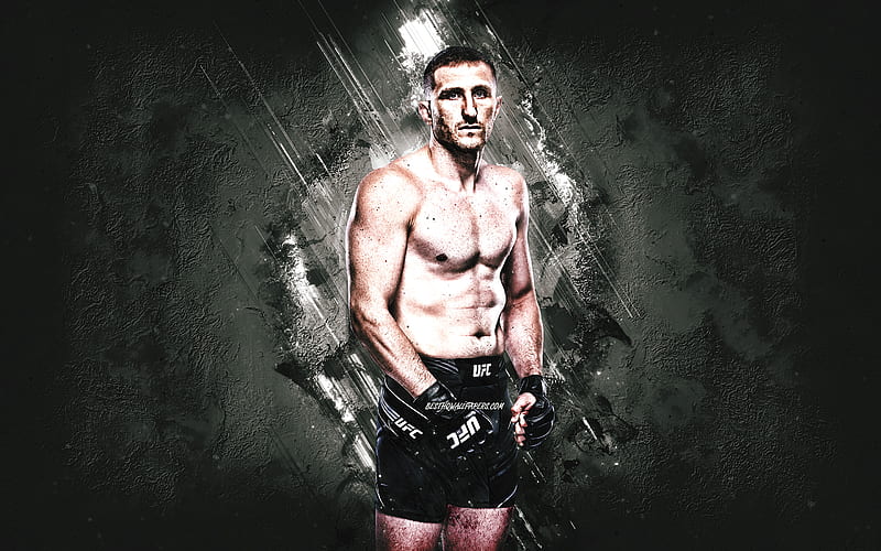 Andreas Michailidis, UFC, Greek fighter, MMA, gray stone background, Andreas Michailidis art, Ultimate Fighting Championship, HD wallpaper