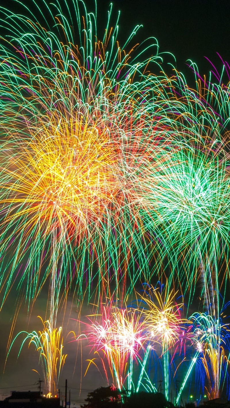 newyearfireworks , newyear19, fire, works, 2019, happy, colorful, trees, display, full, fireworks, HD phone wallpaper