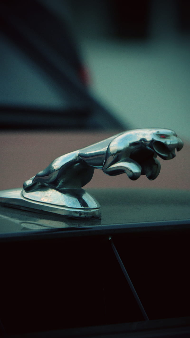 Jaguar range rover, jaguar, range rover, rover, car, logo, brand, luxury,  icon, HD phone wallpaper | Peakpx