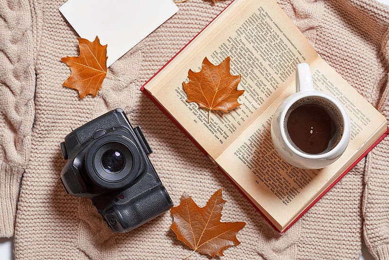 coffee, drink, cup, book, autumn, aesthetics, HD wallpaper