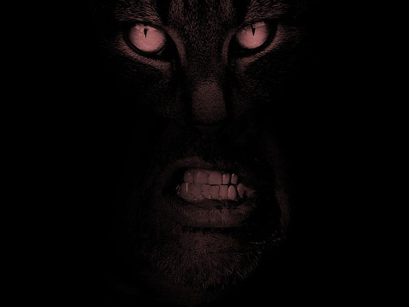 Monster, eues, snout, black background, teeth, HD wallpaper