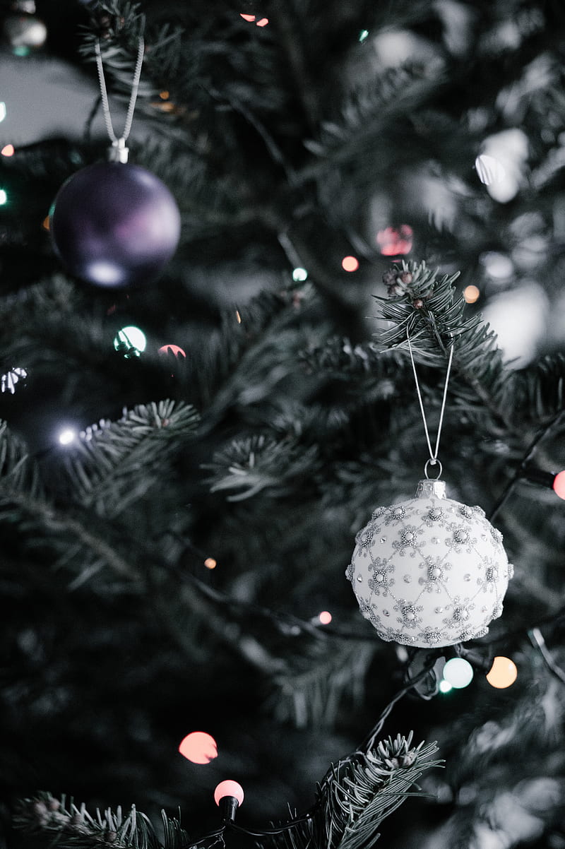 christmas toys, new year, christmas, christmas tree, needles, decoration, HD phone wallpaper