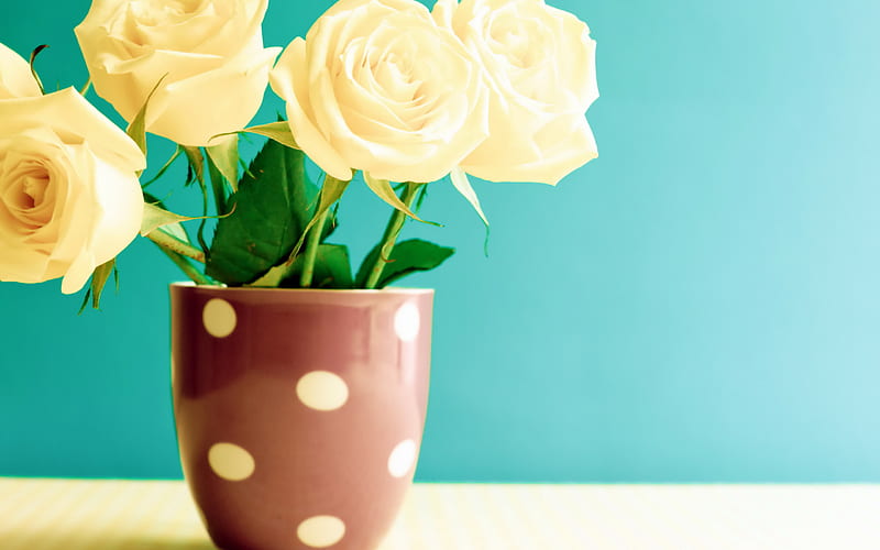 yellow roses, vase, beautiful yellow bouquet, green background, beautiful flowers, roses, HD wallpaper
