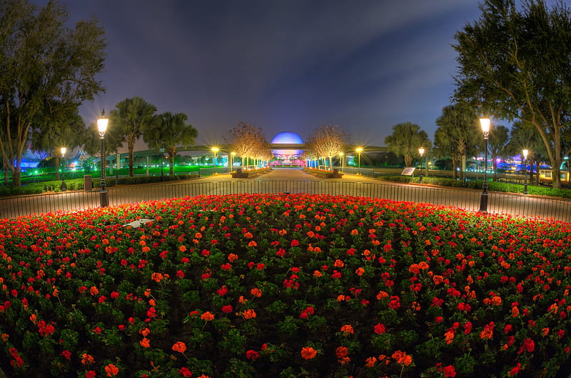 Disney Park, buildings, flowers, geranium, evening, street, lights, HD wallpaper
