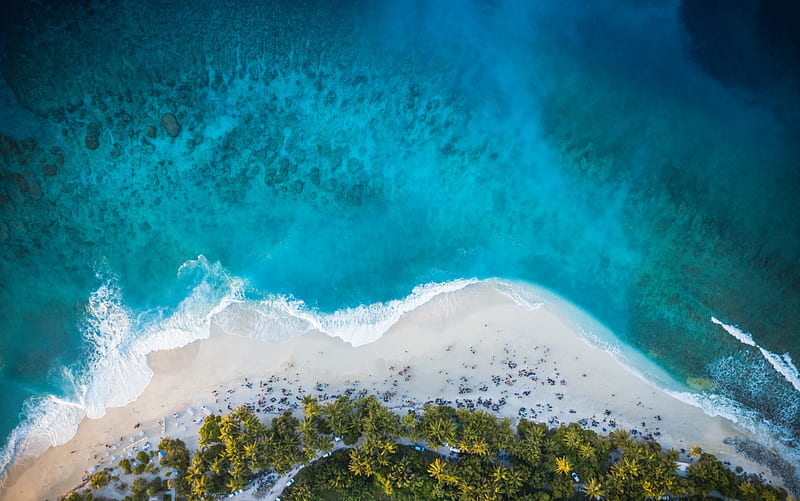 island, beach, palm trees, sea, aerial view, HD wallpaper