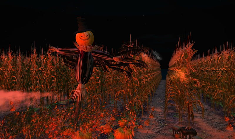 Haunted Cornfield, corn, jack o lanterns, scarecrow, stalks, fog, hat, corn stalks, ghost, Halloween, cornfield, field, pumpkins, HD wallpaper