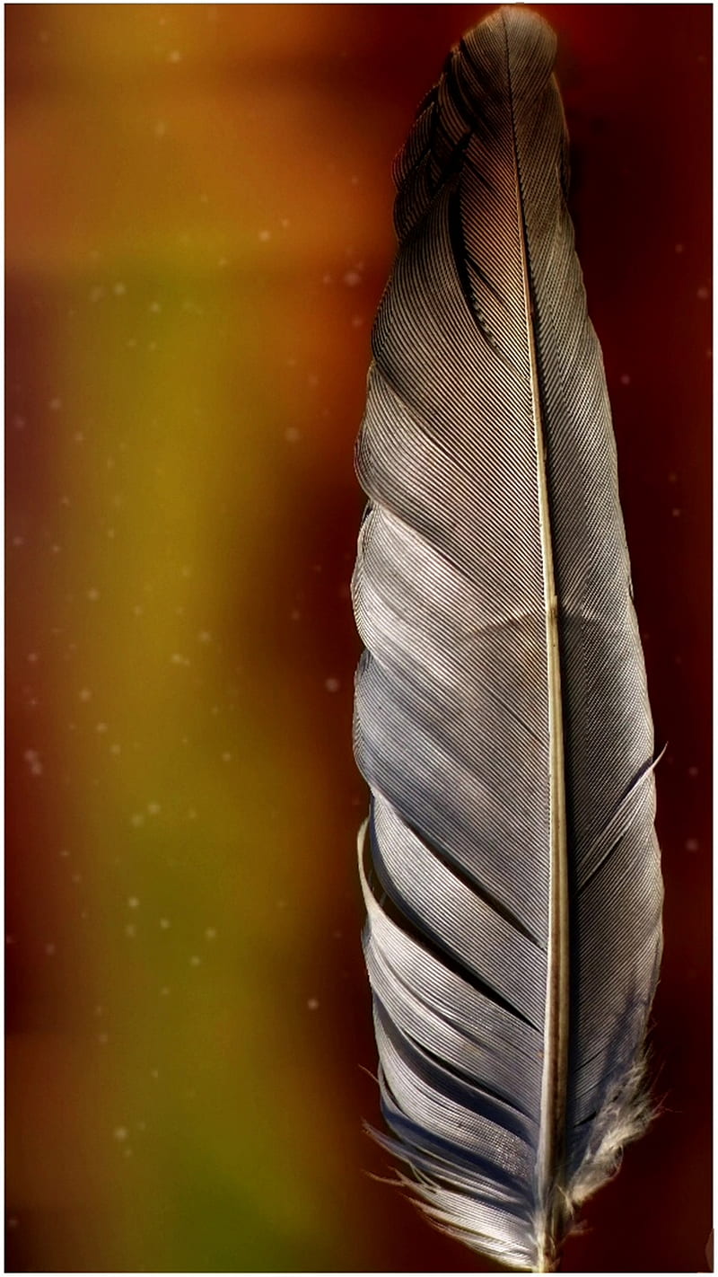 Green Bird Feather, Electric, amoled, minimal, oled, organic, shiny,  vibrant, HD phone wallpaper