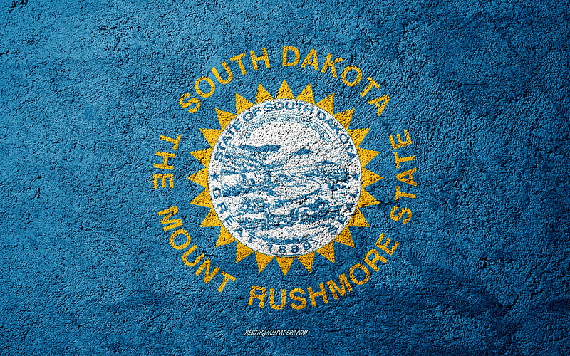 Flag of State of South Dakota, concrete texture, stone background, South Dakota flag, USA, South Dakota State, flags on stone, Flag of South Dakota, HD wallpaper