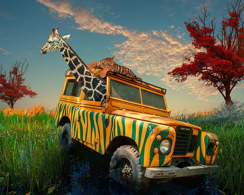 Safari Ride, nature, jeep, animals, wild, HD wallpaper