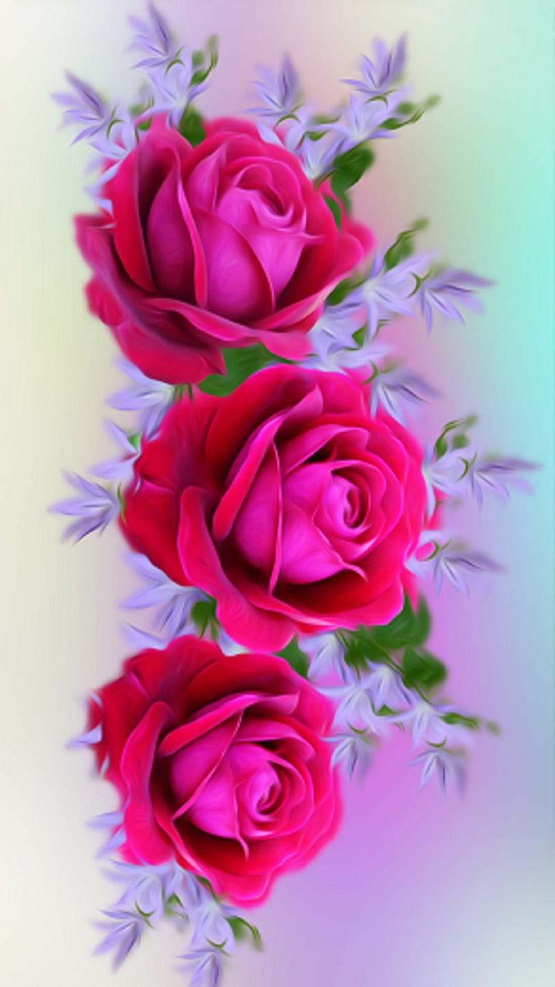Red Rose  Fresh Rose Flowers Wallpaper Download  MobCup