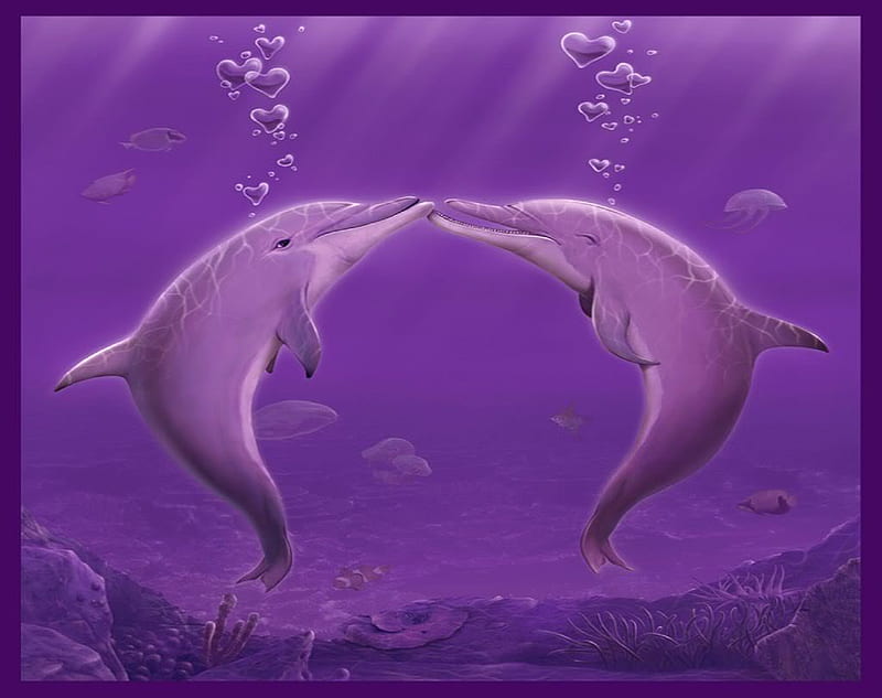 Delfines .jpg, agua, natuer, nadar, amigos, Fondo de pantalla HD | Peakpx
