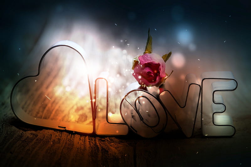 Love, cool, cute, heart, love you, nice, red rose, rose, shine, HD wallpaper  | Peakpx
