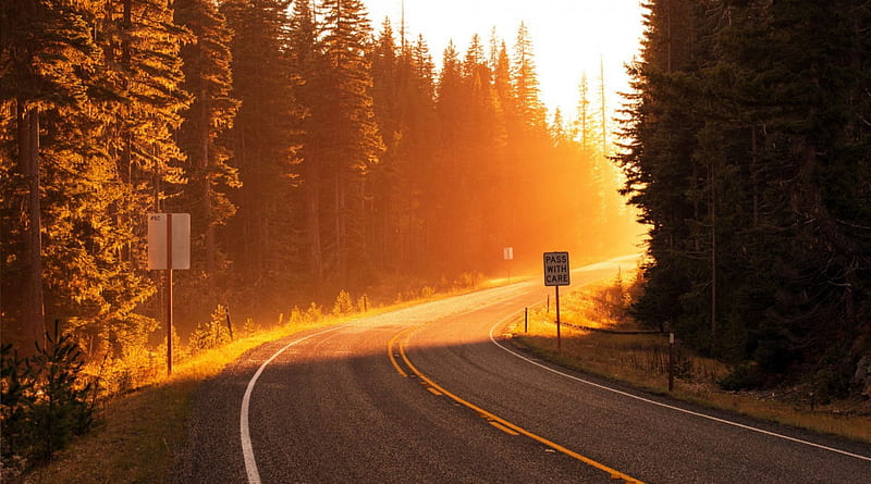 Pass With Care, Forests, Travel, Roads, Sunsets, Nature, HD wallpaper