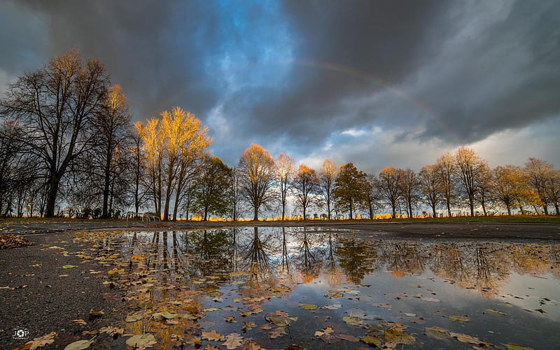 Rainy Autumn in Latvia, autumn, rain, trees, clouds, HD wallpaper